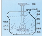 浙江SF型自吸气机械搅拌式浮选机